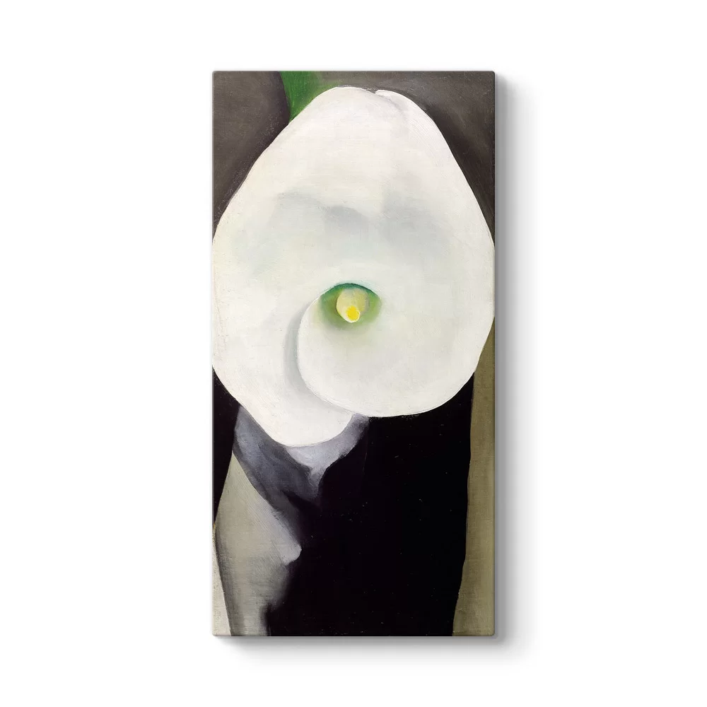 Georgia OKeeffe - Calla Lily for Alfred Tablosu - Model 7